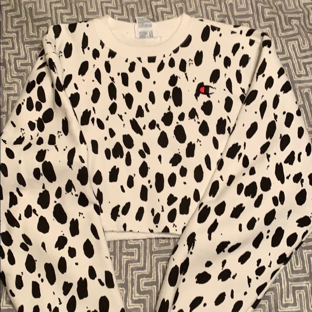 Champion crop sweatshirt